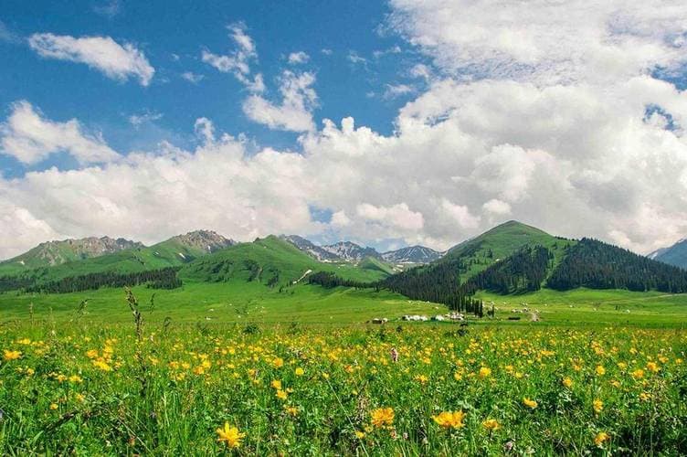 那拉提大草原 (3)
