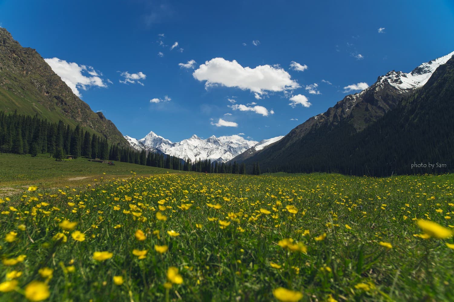夏塔森林公园 夏塔森林公园