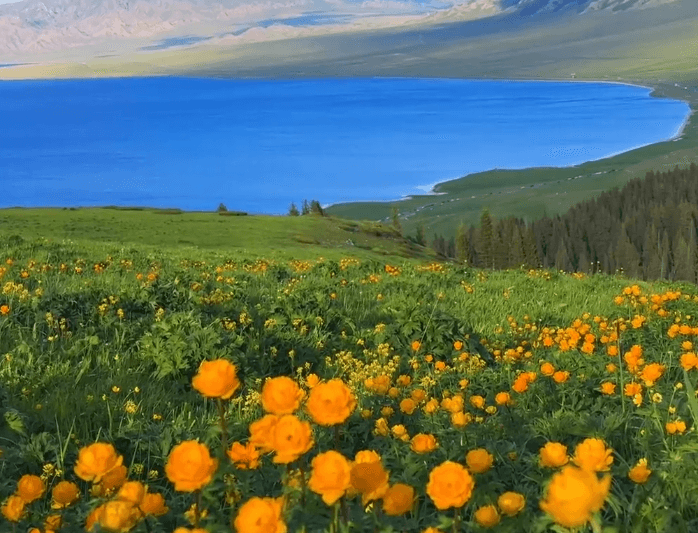 赛里木湖3 赛里木湖3