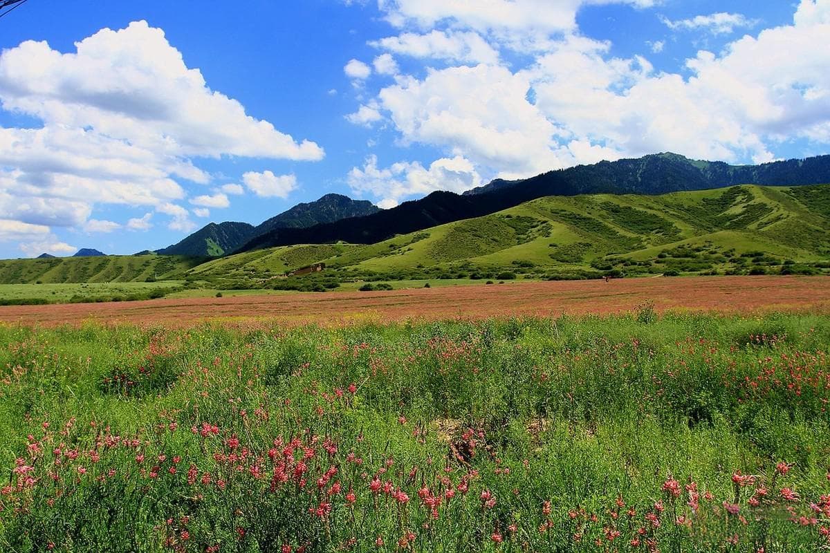 南山 