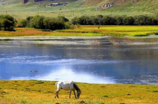 桑科草原 桑科草原