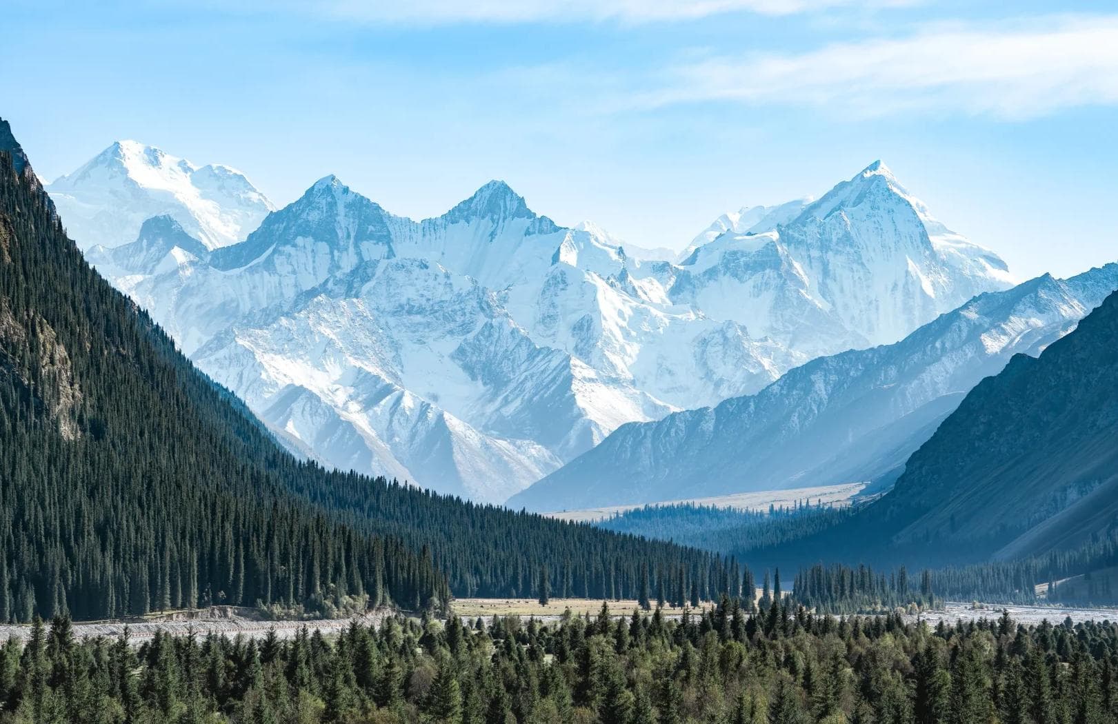 夏塔森林公园 夏塔森林公园