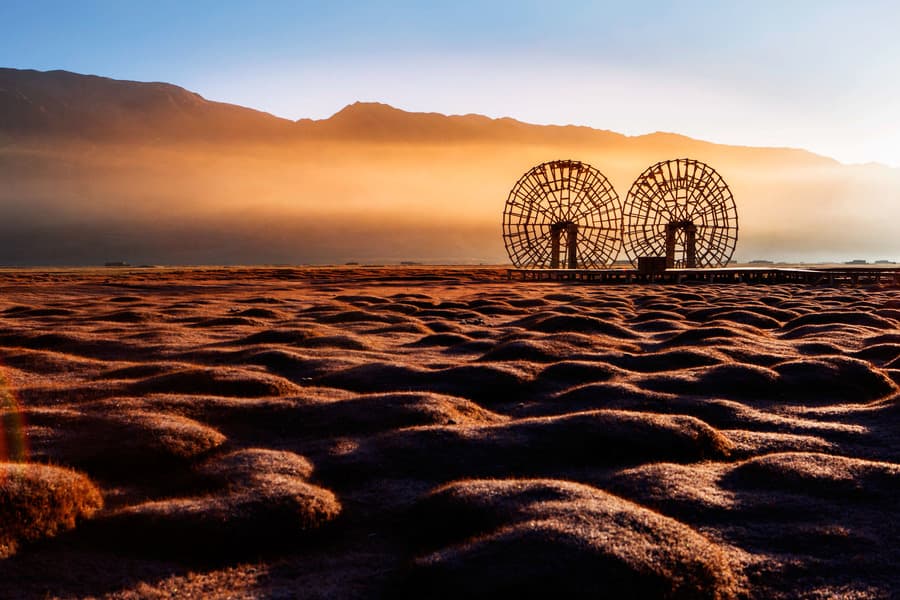 石头城金草滩 石头城金草滩