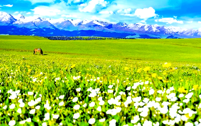 喀拉峻大草原 喀拉峻大草原