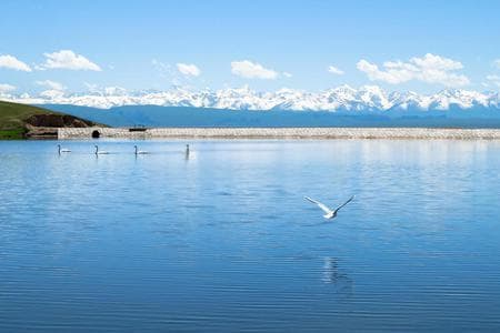 博斯腾湖 博斯腾湖