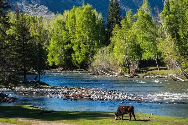 可可托海 可可托海
