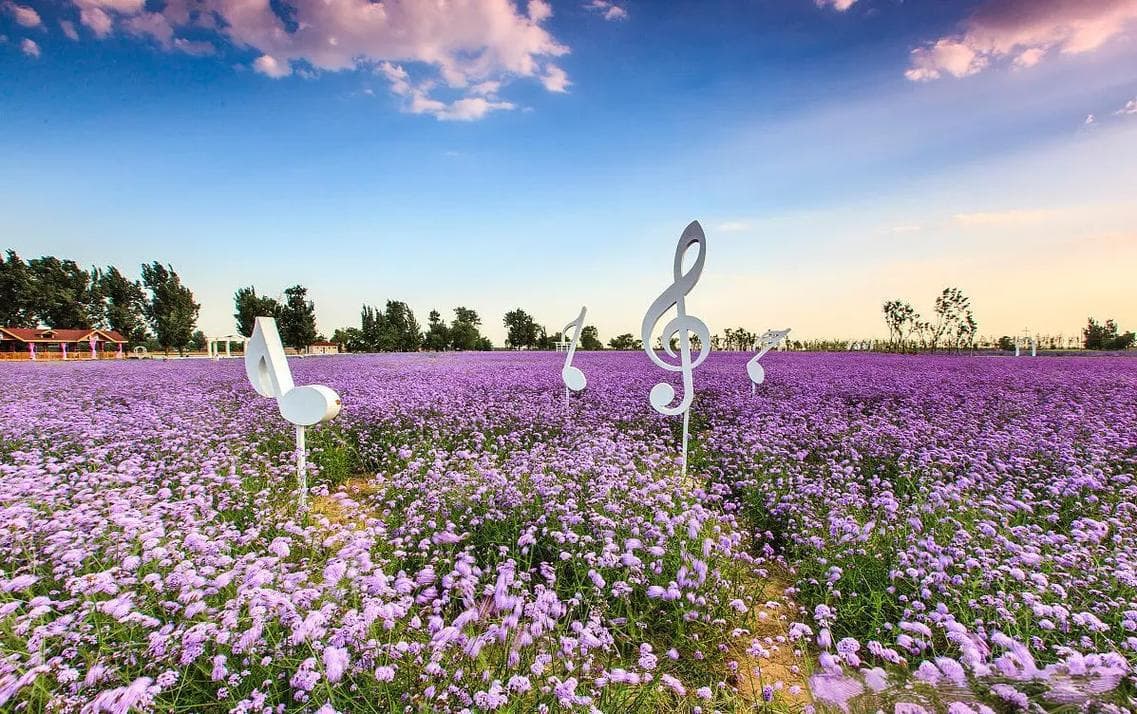 霍城薰衣草 霍城薰衣草