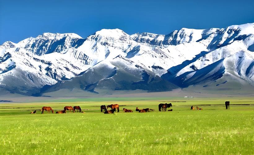 巴音布鲁克 巴音布鲁克