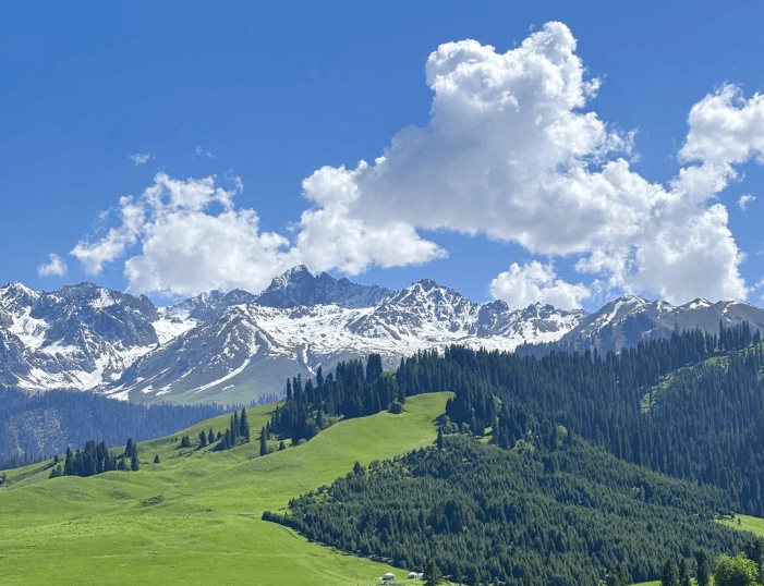 恰西草原 恰西草原