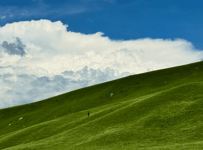 那拉提1 那拉提1